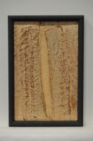 Bild ohne Titel (2002)